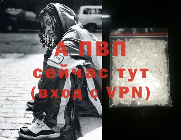 спиды Нефтекумск