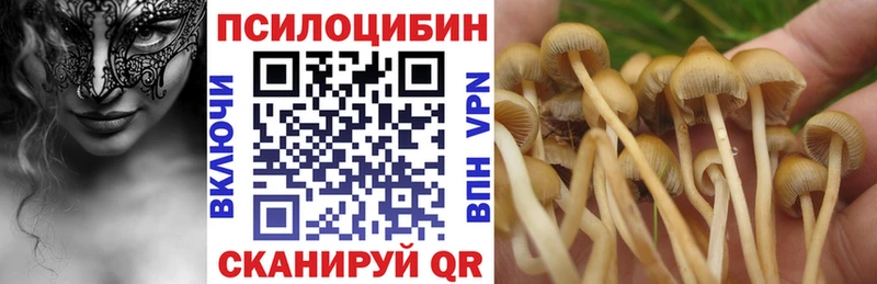 Галлюциногенные грибы прущие грибы Новый Оскол